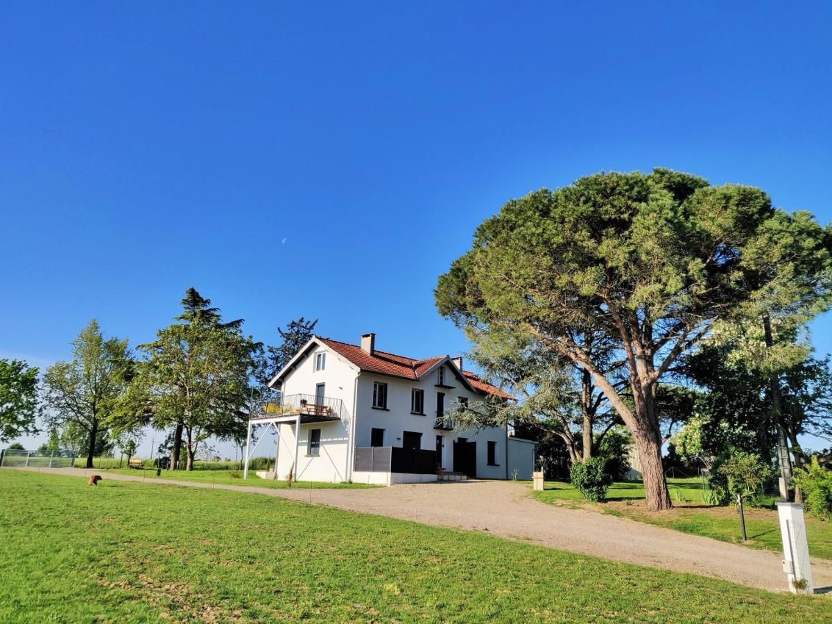 Le Cottage Nature Primeur Sauna Gaillac Entre Albi-Toulouse & Les Cottages Du Tarn Brens  Exterior foto